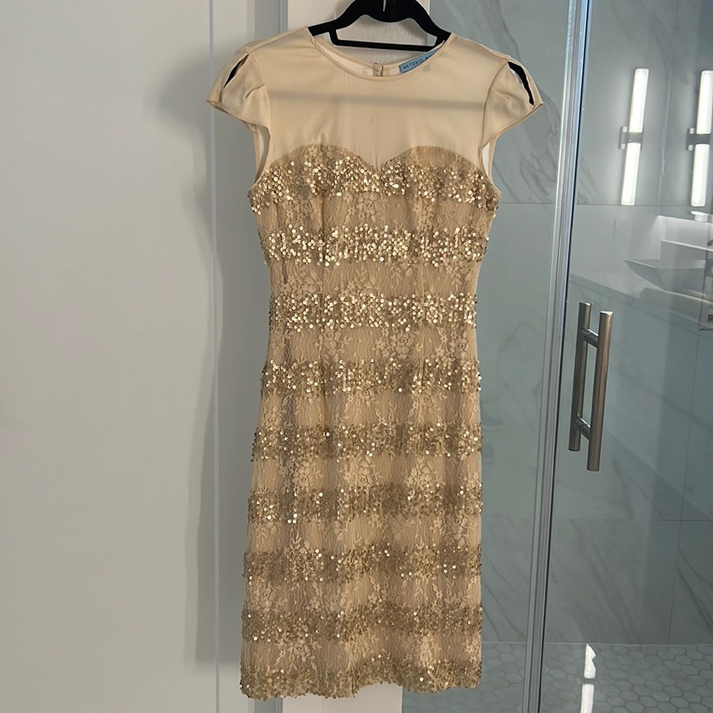 Antonio Melani sequined dress